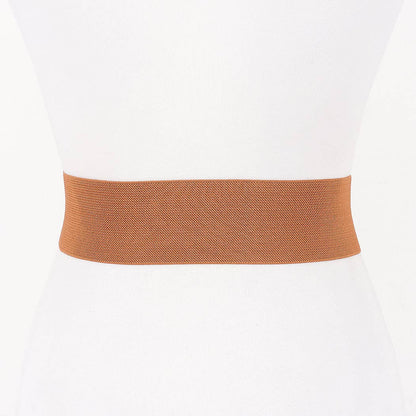 Interlocking Buckle Wide Belt